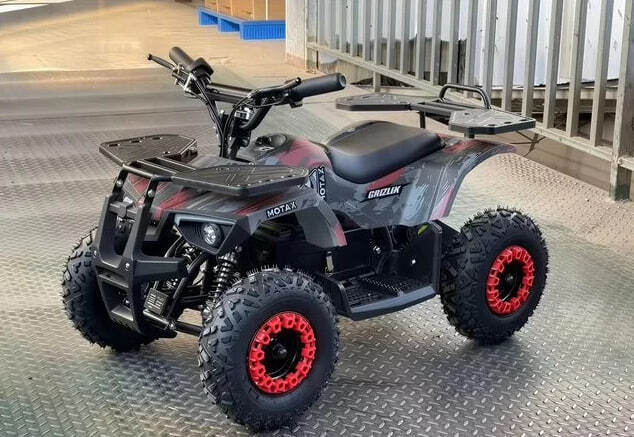 Квадроцикл Motax Grizlik Basic 125
