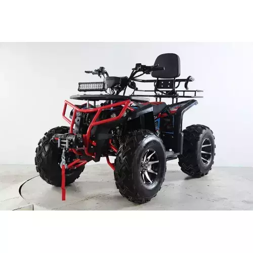 Квадроцикл TZR 200 DEFENDER