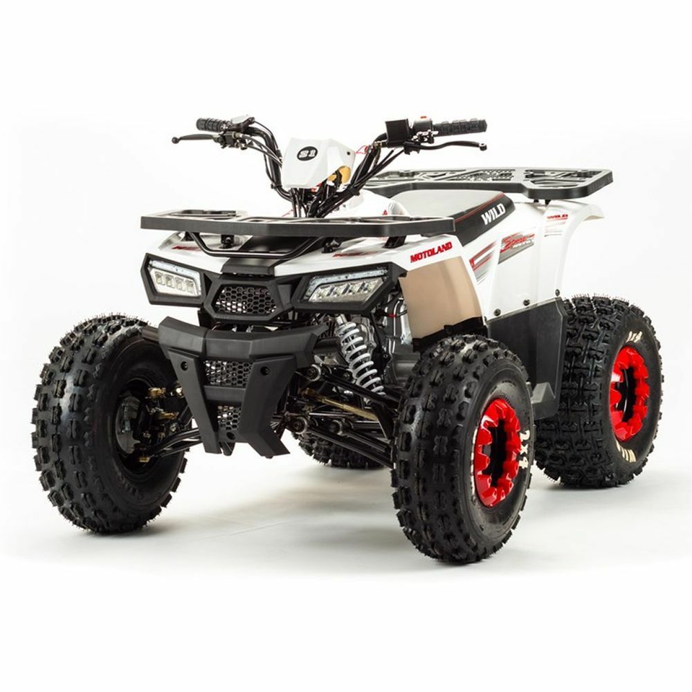 Квадроцикл MOTOLAND 125 WILD A