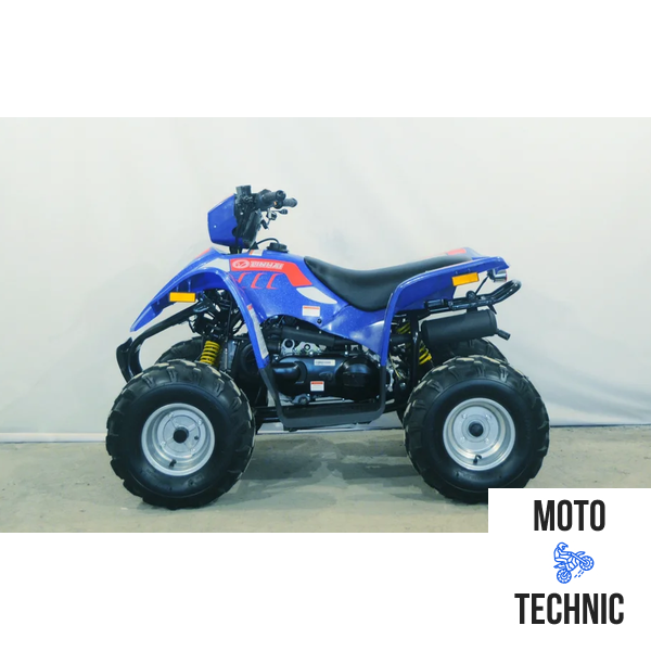 КВАДРОЦИКЛ LINHAI-YAMAHA Polar Fox