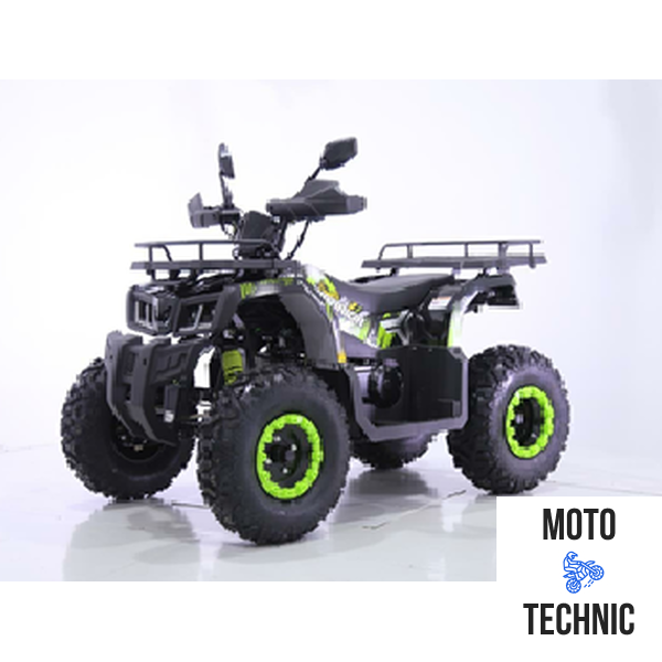 Квадроцикл TAO MOTORS REPTILE-200 (WARRIOR)