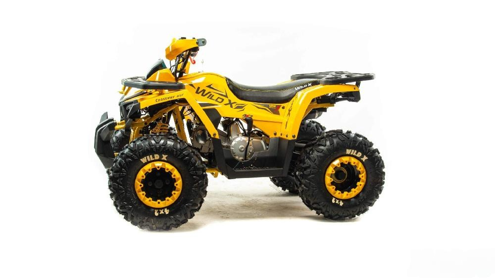 Квадроцикл MOTOLAND 125 WILD X